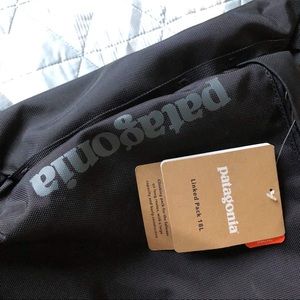 Patagonia Linked Pack 18L